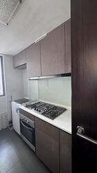RiverParc Residence (D19), Condominium #627221781